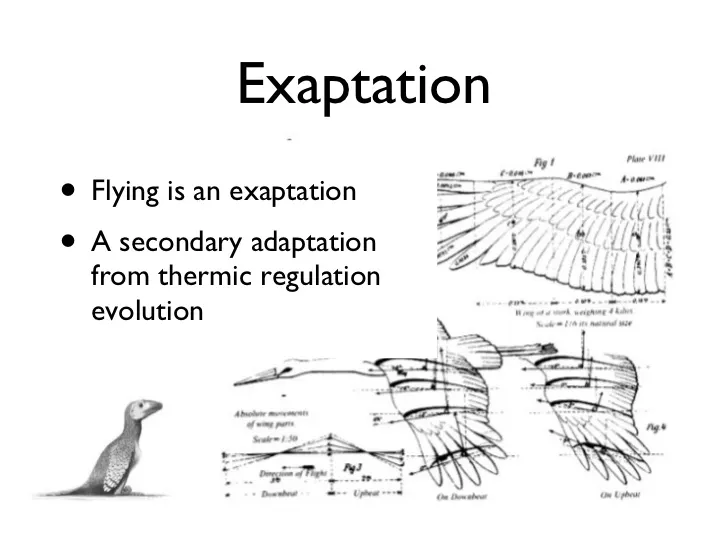The Concept of Exaptation and Its Relevance in Modern Life
