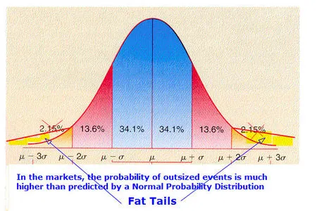 Fat Tail Distributions – What Are They and Why Do They Matter? Fat Tail Distributions – What Are They and Why Do They Matter?